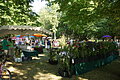 Gartentage im Kurpark Abbach