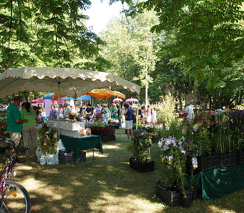 Gartentage im Kurpark Abbach