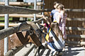 Ziege im Tiergehege