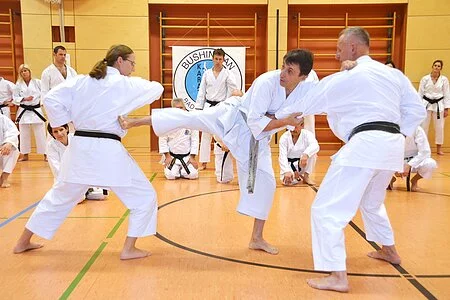 Training des Karate-Verein BUSHIN-KAN