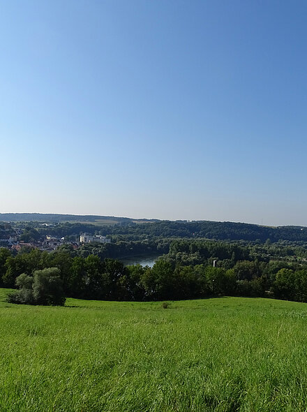 Landschaft Bad Abbach