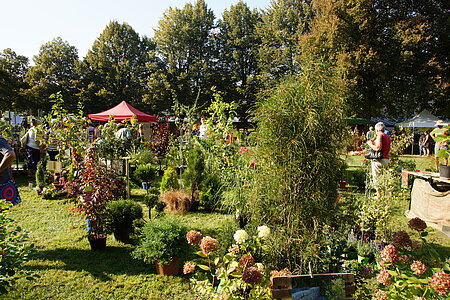 Gartentage im Kurpark Bad Abbach