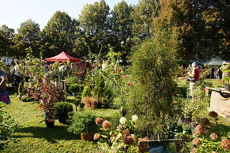 große Auswahl an Pflanzen für den heimischen Garten