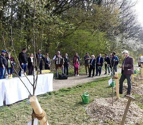 Erster Bad Abbacher Hochzeitswald