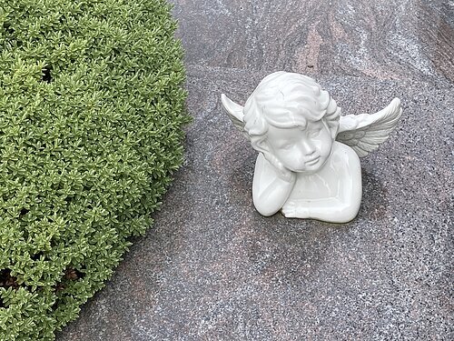 Neuer Friedhof
