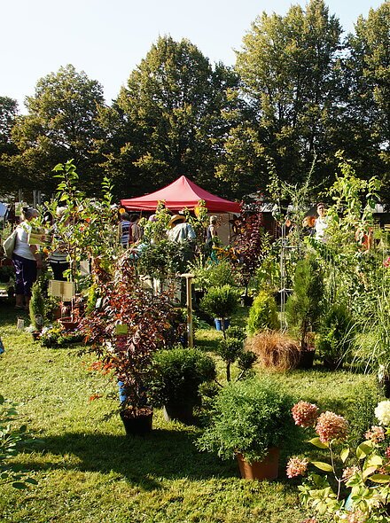 Gartentage im Kurpark Abbach