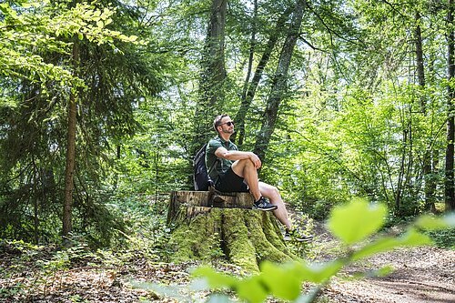 Ein Wanderer sitzt auf einem Baumstumpf im Wald und Blickt in Richtung sonnigen Himmel.