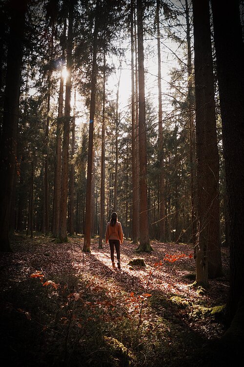 waldbaden