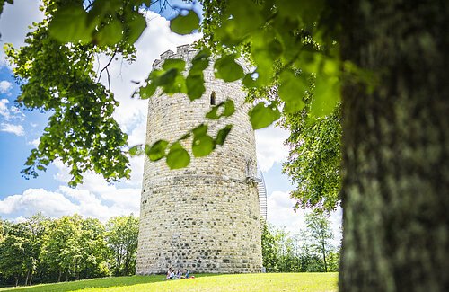 Heinrichturm Ein runder Steinturm steht auf einer Wiese, umgeben von Bäumen und Blättern im Vordergrund.