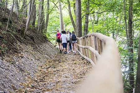 Weg zum Burgberg Eine Gruppe von Menschen wandert auf einem Waldweg mit Holzgeländer, umgeben von grünen Bäumen.