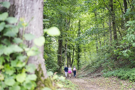 Weg zum Burgberg Drei Personen gehen auf einem Waldweg, umgeben von grünen Bäumen.