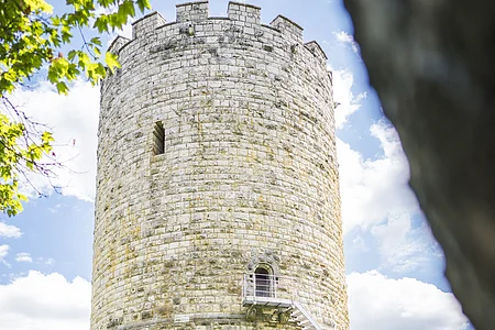Eine vierköpfige Familie sitzt auf einem Baumstamm auf einer Wiese. Rechts auf dem Baumstamm ist ein Picknickkorb. die Familie blickt auf den Heinrichsturm. Der Himmel ist weiß-blau und die sonne scheint.