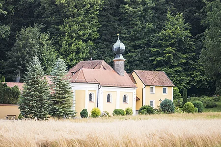 Gelbes Gebäude mit Zwiebelturm und roten Dächern vor einem dichten Wald, im Vordergrund ein Feld.