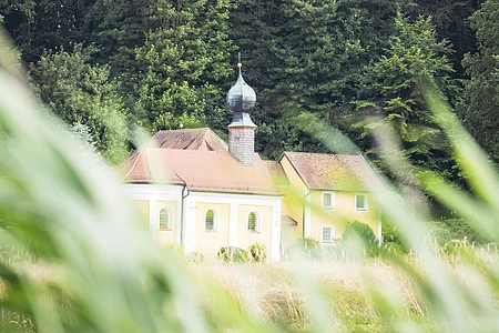 Gelbes Gebäude mit Zwiebelturm vor einem dichten Wald, im Vordergrund unscharfe Gräser.