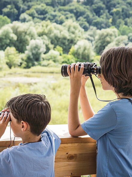 Am Vogelbeobachtungsturm Zwei Kinder in blauen T-Shirts beobachten mit Ferngläsern eine grüne Landschaft von einem Holzdeck aus.