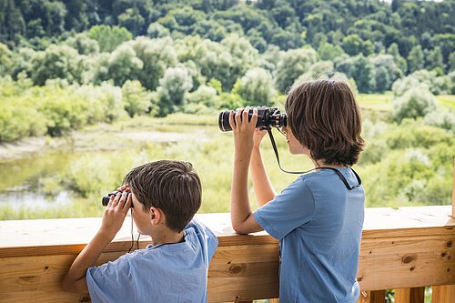Am Vogelbeobachtungsturm Zwei Kinder in blauen T-Shirts beobachten mit Ferngläsern eine grüne Landschaft von einem Holzdeck aus.