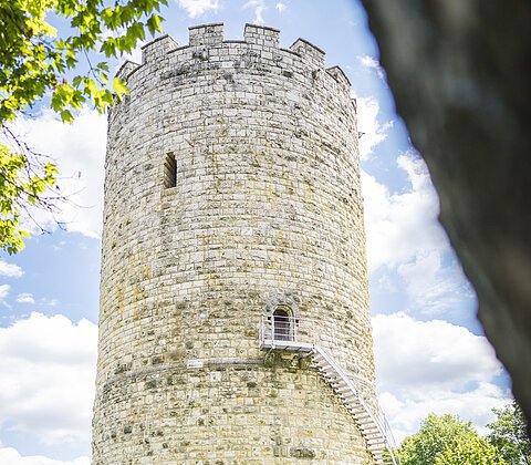 Eine vierköpfige Familie sitzt auf einem Baumstamm auf einer Wiese. Rechts auf dem Baumstamm ist ein Picknickkorb. die Familie blickt auf den Heinrichsturm. Der Himmel ist weiß-blau und die sonne scheint.