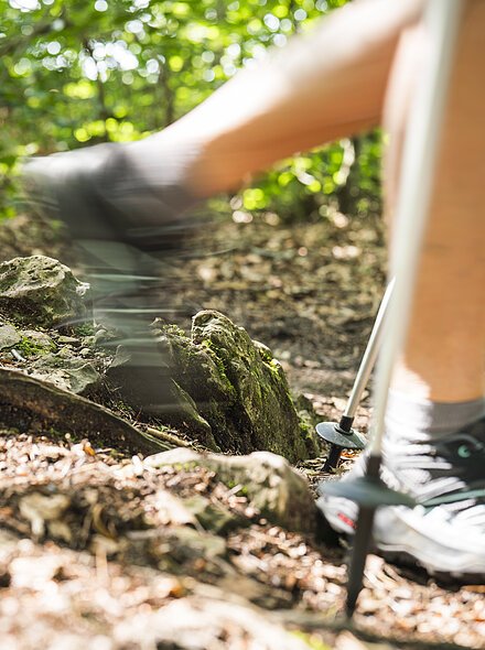 Beine einer Person mit Wanderschuhen und Wanderstöcken auf einem Waldweg mit Steinen und Laub.