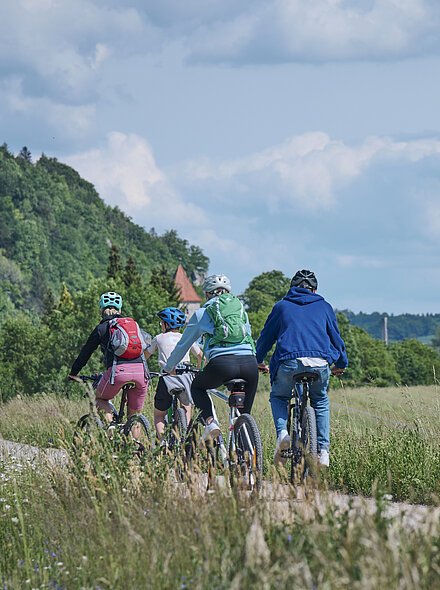 Rückansicht Familie beim Radfahren auf dem Donauradweg Vier Personen fahren mit Fahrrädern auf einem ländlichen Weg durch eine grüne Landschaft.