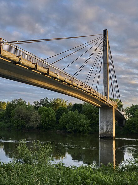 Fußgänger- und Fahrradbrücke über die Donau Fußgängerbrücke über einen Fluss, umgeben von Bäumen und bewölktem Himmel.
