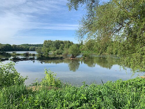 Kräuterwanderung Ende Mai Freizeitinsel Ende Mai