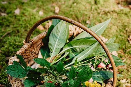 Geflochtener Korb mit grünen Blättern, roten Beeren und gelben Blüten auf moosigem Waldboden.