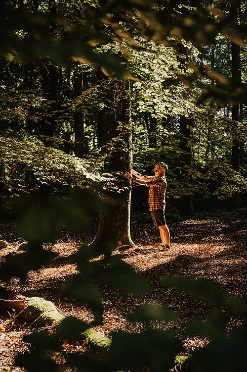 Person mit Hut und kariertem Hemd berührt Baumstamm in sonnigem Wald mit Laub auf Boden