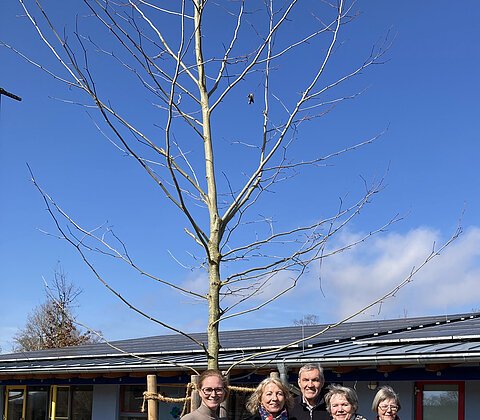 OGV spendet Platane an Kinderkrippe Turmwichtl