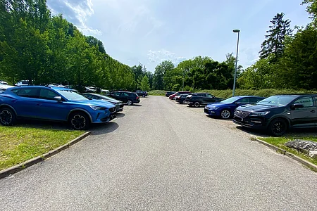 Parkplatz mit mehreren geparkten Autos auf beiden Seiten, umgeben von Bäumen und bewölktem Himmel