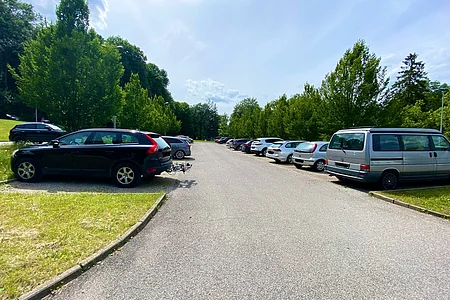 Parkplatz mit mehreren geparkten Autos und Bäumen an beiden Seiten unter bewölktem Himmel