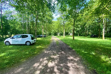 Unbefestigter Weg durch einen Wald mit drei geparkten Autos auf der Wiese links und rechts des Weges.