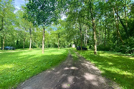 Waldweg mit Grasflächen und Bäumen, zwei geparkte Autos links und rechts im Grünen bei Tageslicht.
