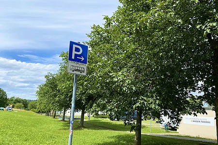 Blauer Parkplatzschild mit Bus-Symbol neben einer Baumreihe auf einer Wiese bei bewölktem Himmel