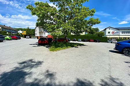 Parkplatz mit mehreren geparkten Autos und einem Baum in der Mitte bei sonnigem Wetter