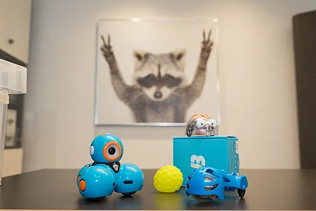 Blauer Spielzeugroboter, gelber Ball und weitere Spielzeuge auf Tisch, unscharfes Bild eines Waschbären mit erhobenen Pfoten im Hintergrund