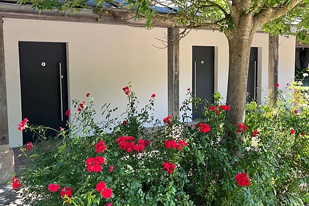 Busch mit roten Rosen vor Baum und drei schwarzen Türen an weißer Hauswand bei Sonnenschein