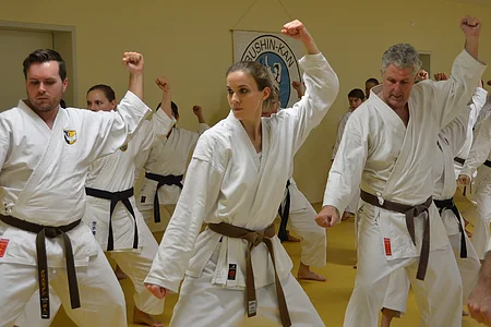 Gruppe von Karateübenden in weißen Anzügen mit braunen und schwarzen Gürteln beim Üben eines Blocks im Dojo.
