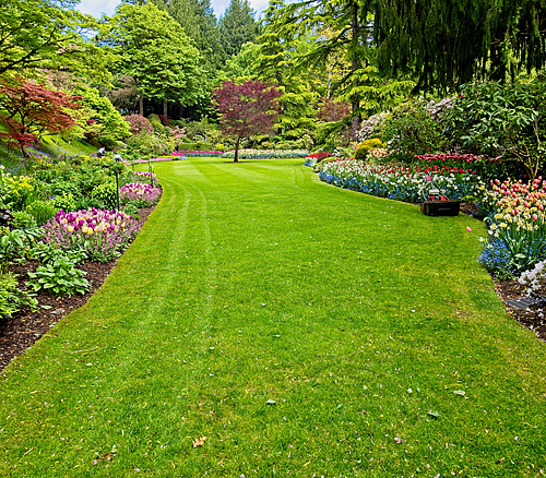 Grüne Gartenanlage Großes, gepflegtes Rasenfeld mit bunten Blumenbeeten und Bäumen in einem Park oder Garten.