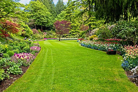 Großes, gepflegtes Rasenfeld mit bunten Blumenbeeten und Bäumen in einem Park oder Garten.