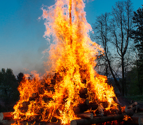 Großes Lagerfeuer mit brennenden Holzstämmen vor blauem Himmel und Bäumen im Hintergrund