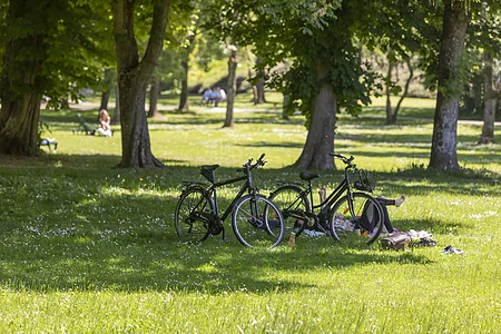 Zwei Fahrräder stehen auf einer Wiese, daneben liegt eine Person im Schatten eines Baumes.