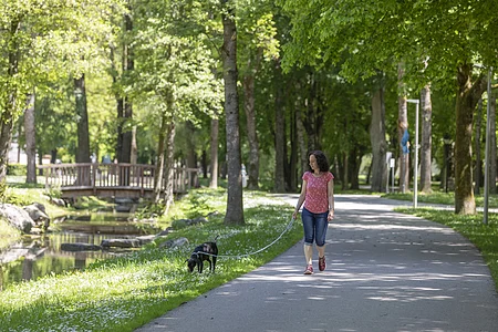 Frau in rotem T-Shirt geht mit schwarzem Hund an Leine auf Weg neben Bach und Holzbrücke im Park spazieren.