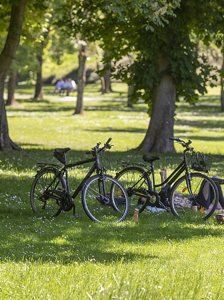 Markt Bad Abbach Kurpark Ruheoase Zwei Fahrräder stehen auf einer Wiese, daneben liegt eine Person im Schatten eines Baumes.