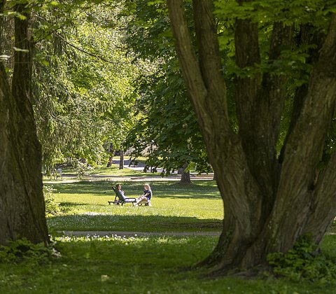 Zwei Personen sitzen auf einer Wiese im Park, umgeben von großen Bäumen und grünem Laub.