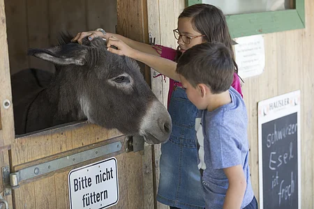 Zwei Kinder streicheln einen Esel, der aus einem Holzstall schaut, Schild „Bitte nicht füttern“ sichtbar.