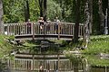 Vier Kinder stehen auf einer Holzbrücke über einem Bach in einem bewaldeten Park.