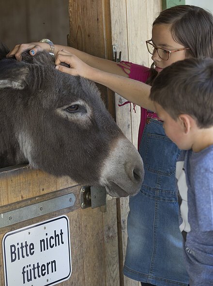 Zwei Kinder streicheln einen Esel, der aus einem Holzstall schaut, Schild „Bitte nicht füttern“ sichtbar.