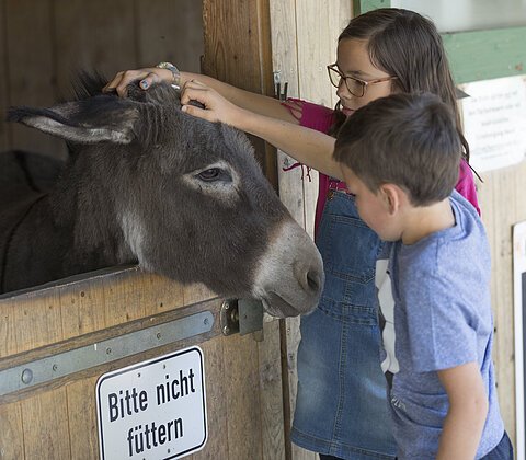Zwei Kinder streicheln einen Esel, der aus einem Holzstall schaut, Schild „Bitte nicht füttern“ sichtbar.