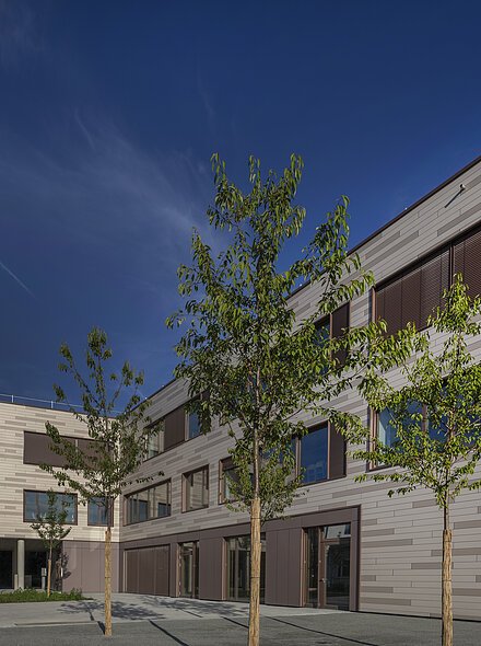 Moderner Bürokomplex mit rechteckigen Fenstern und jungen Bäumen im Innenhof bei klarem Himmel.