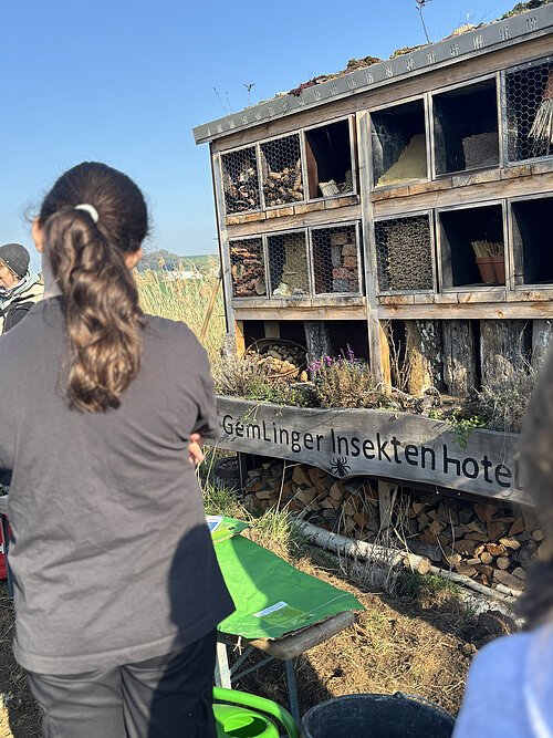 Grünes Klassenzimmer am Gemlinger Weiher Insektenhotel im Grünen Klassenzimmer am Gemlinger Weiher